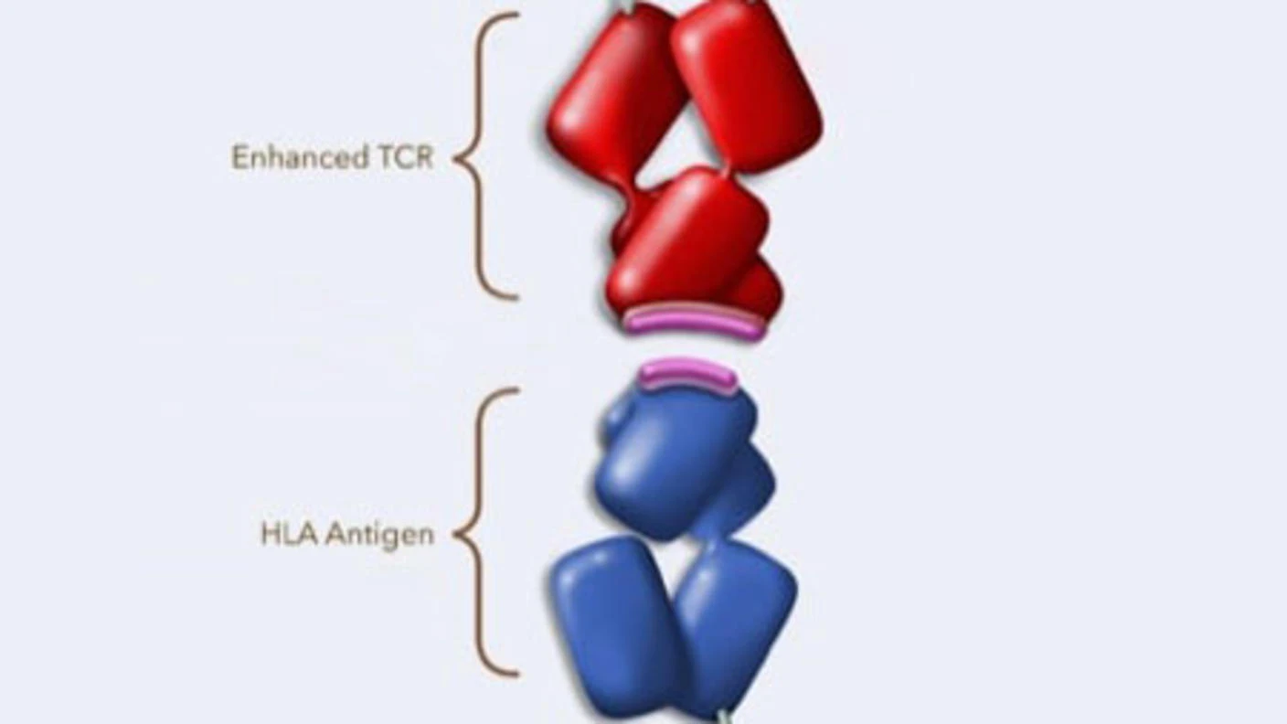 FDA chấp thuận liệu pháp thụ thể tế bào T đầu tiên cho bệnh ung thư